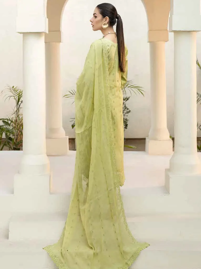 Aafreen by Riaz Arts Embroidered Chikankari Schiffli Lawn 3Pc AF-02