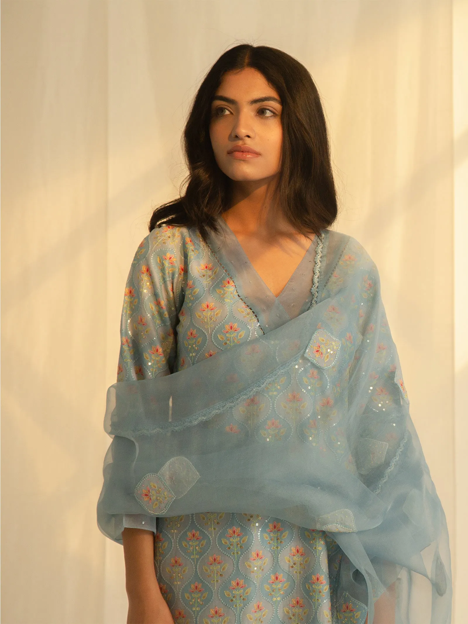Crystals Organza Dupatta
