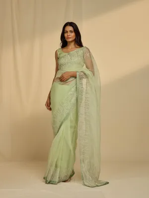 Lightening Mint Organza Saree