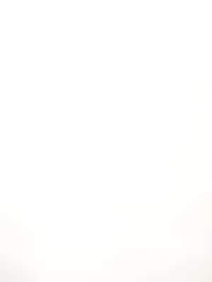 Tulle - 108-inches Wide White By the Yard