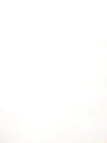 Tulle - 108-inches Wide White By the Yard